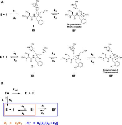 Self-Masked Aldehyde Inhibitors of Human Cathepsin L Are Potent Anti-CoV-2 Agents